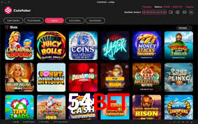 Premium Interface 54bet
